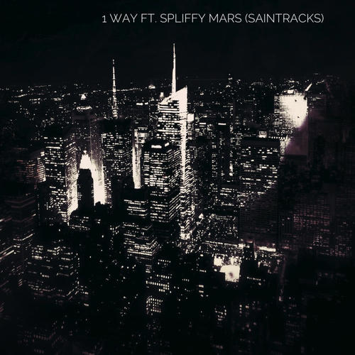 1 Way (feat. Spliffy Mars) [Explicit]