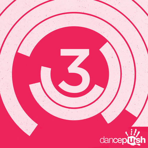 3 Years of Dancepush (Paul Vinitsky Remixes)