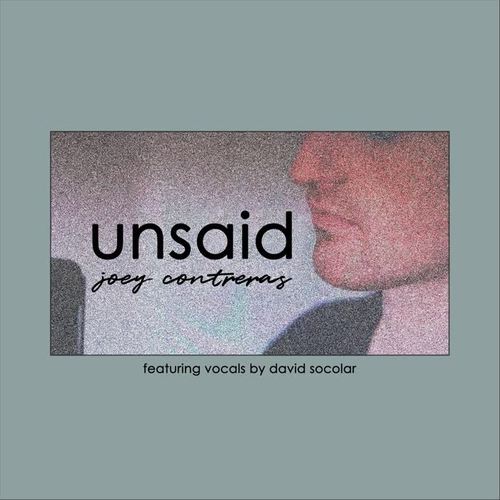 Unsaid (feat. David Socolar)