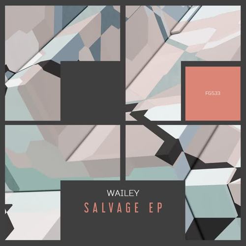 Salvage EP