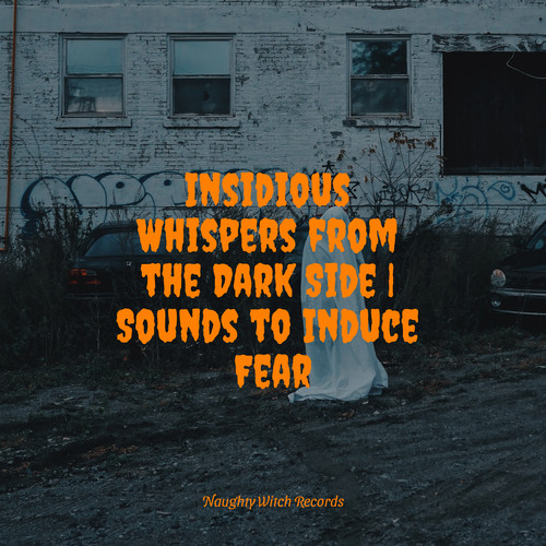 Insidious Whispers from the Dark Side | Sounds to Induce Fear