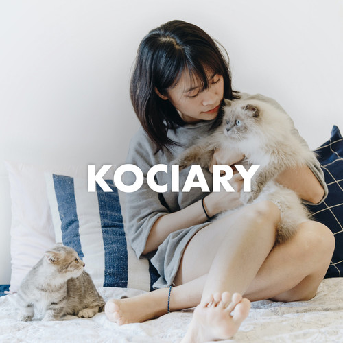 Kociary (Explicit)