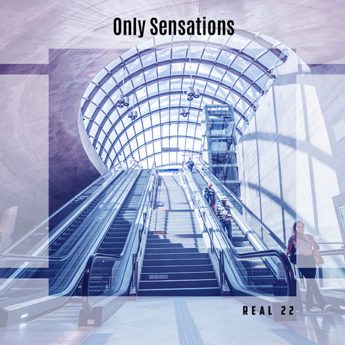 Only Sensations Real 22