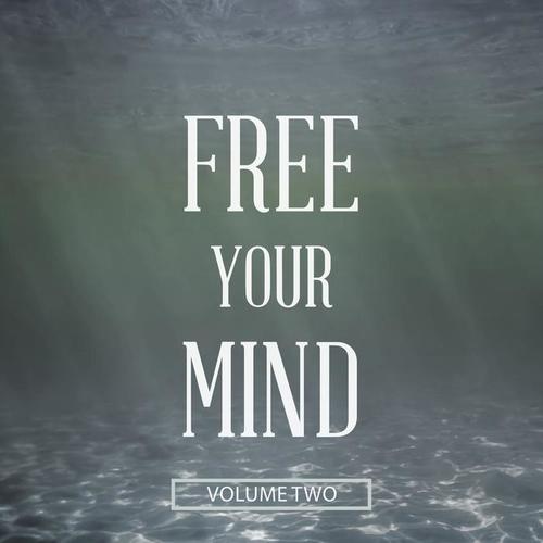 Free Your Mind, Vol. 2 (Don't Think.. Enjoy)