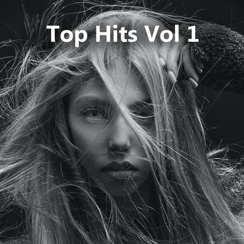 Top Hits Vol 1 (Explicit)