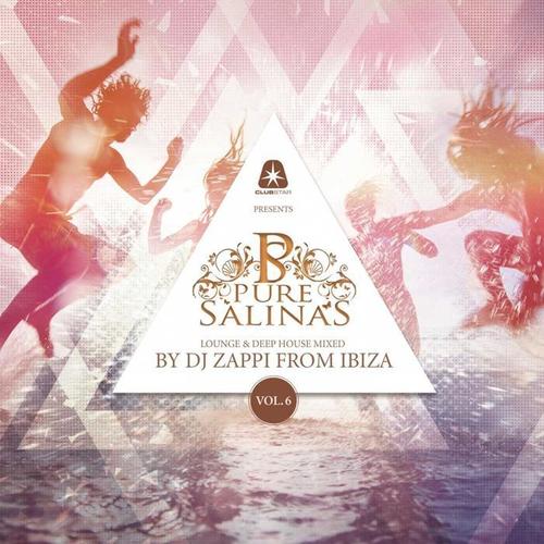 Pure Salinas, Vol. 6 (Compiled by DJ Zappi)