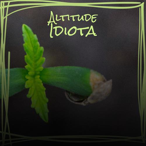 Altitude Idiota