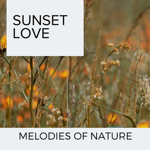 Sunset Love - Melodies of Nature