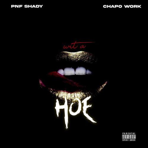 Wit a Hoe (feat. Chapo Work) [Explicit]