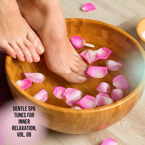 Gentle Spa Tunes for Inner Relaxation, Vol. 06