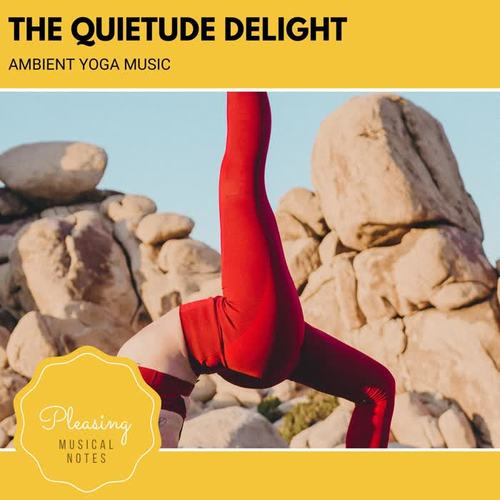 The Quietude Delight - Ambient Yoga Music