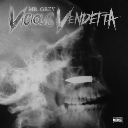 Vicious Vendetta (Explicit)