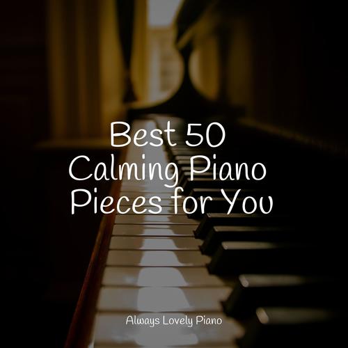 Best 50 Calming Piano Pieces for You