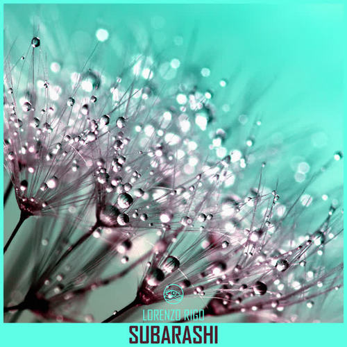 Subarashi