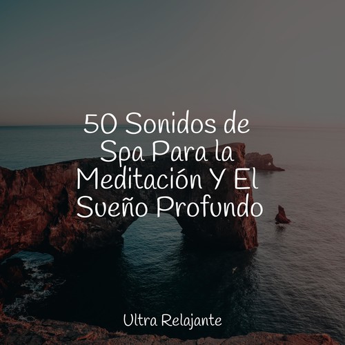 50 Sonidos de Spa Para la Meditación Y El Sueño Profundo