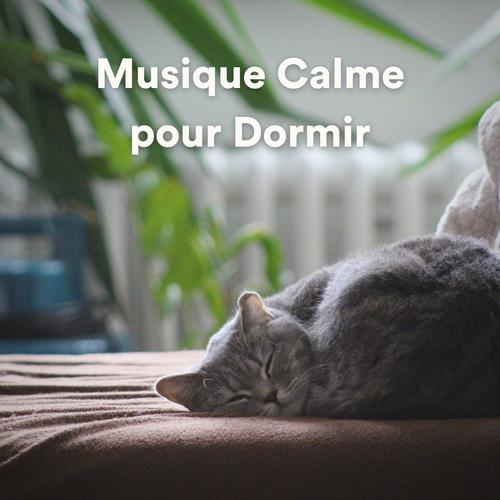 Musique Calme pour Dormir
