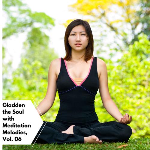 Gladden The Soul With Meditation Melodies, Vol. 06