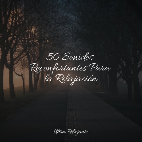 50 Sonidos Reconfortantes Para la Relajación