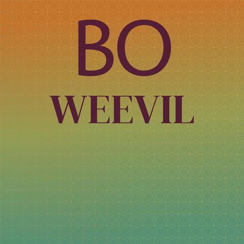 Bo Weevil