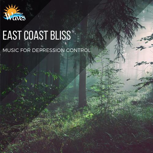 East Coast Bliss - Music for Depression Control