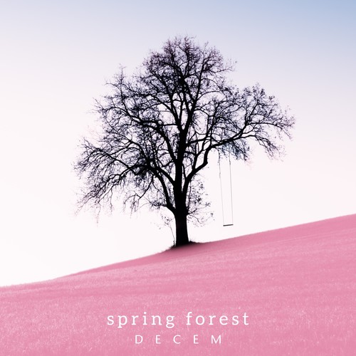 Spring Forest