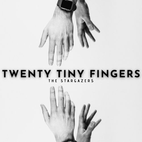 Twenty Tiny Fingers - The Stargazers