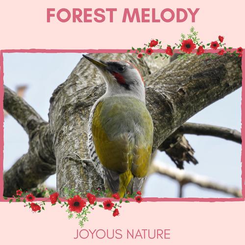 Forest Melody - Joyous Nature