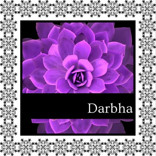 Darbha