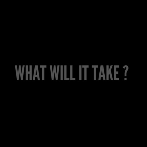 What Will It Take ?