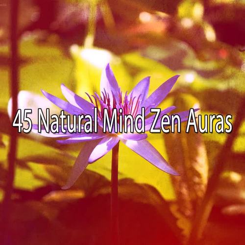 45 Natural Mind Zen Auras