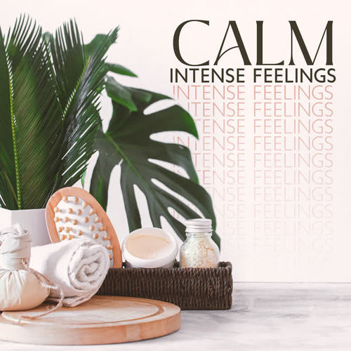 Calm Intense Feelings (Soothing Spa Music for Physical and Emotional Relaxation After a Long Day)