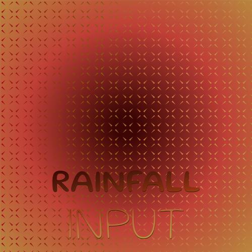 Rainfall Input