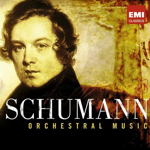 Schumann - 200th Anniversary Box - Orchestral