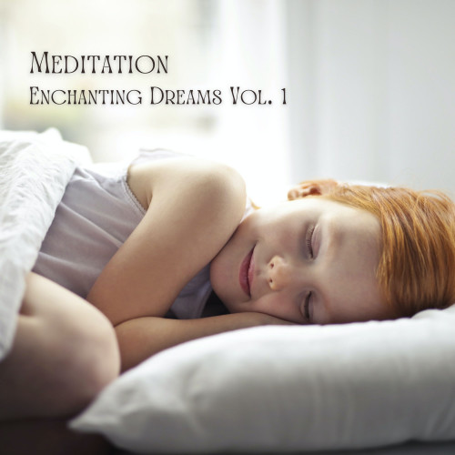 Meditation: Enchanting Dreams Vol. 1