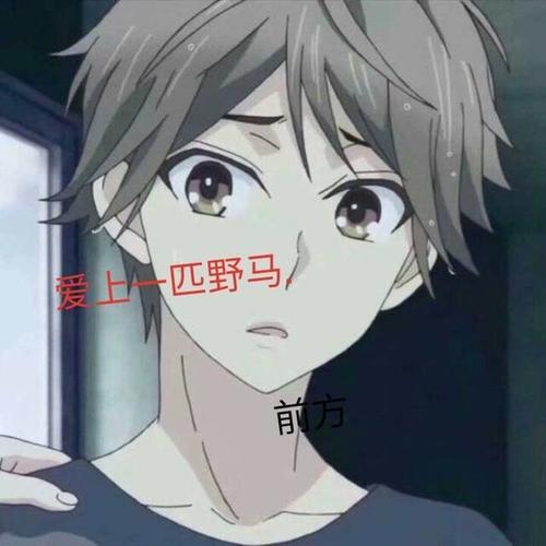 爱上一匹野马