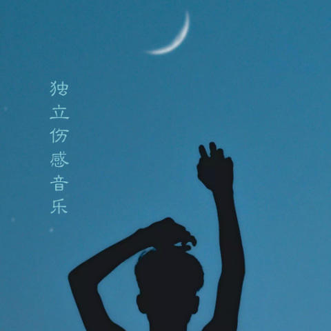 好听的翻唱作品集-翻唱