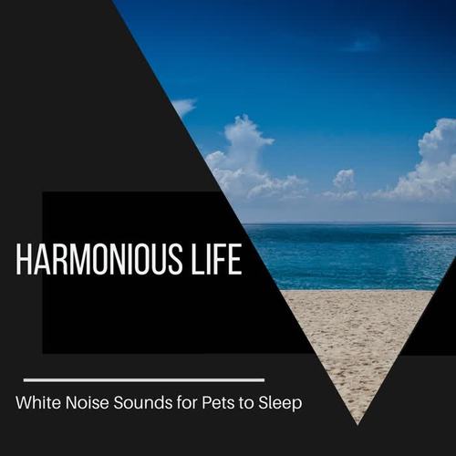 Harmonious Life - White Noise Sounds for Pets to Sleep