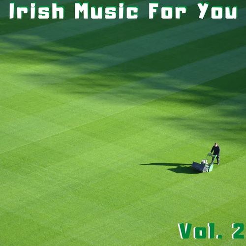 Irish Music for You Vol. 2