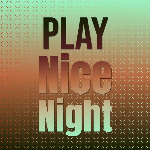 Play Nice Night