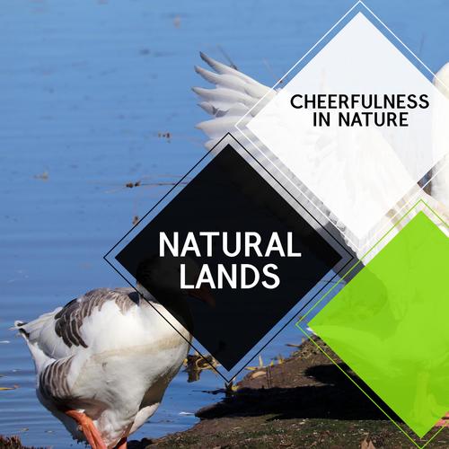 Natural Lands - Cheerfulness In Nature