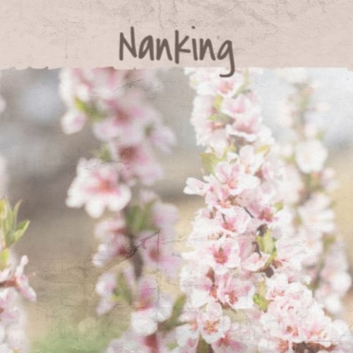 Nanking