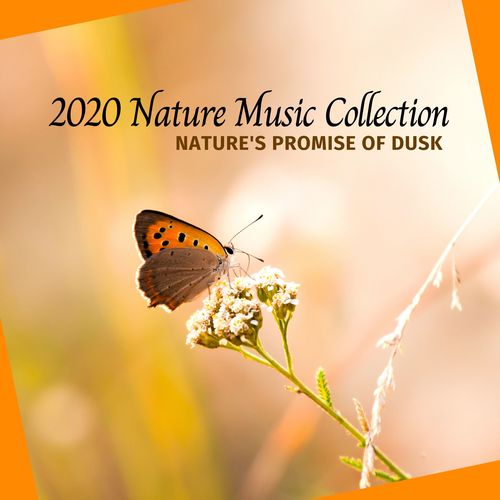 Nature's Promise of Dusk- 2020 Nature Music Collection