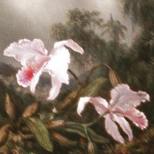 Complex (feat. JaMichael, Ndukwe & Seven Taviss)
