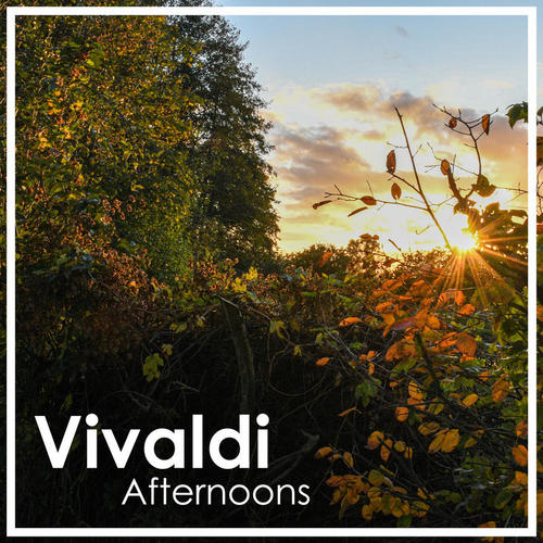 Vivaldi Afternoons