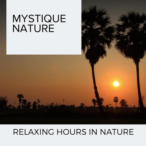 Mystique Nature - Relaxing Hours in Nature