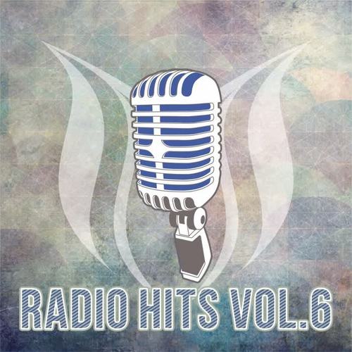 Radio Hits, Vol. 6