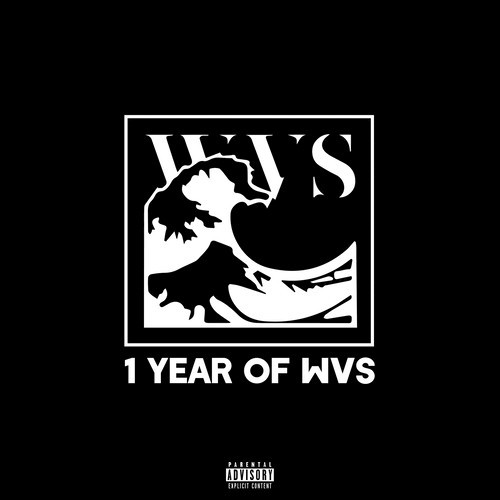 1 Year of WVS (Explicit)