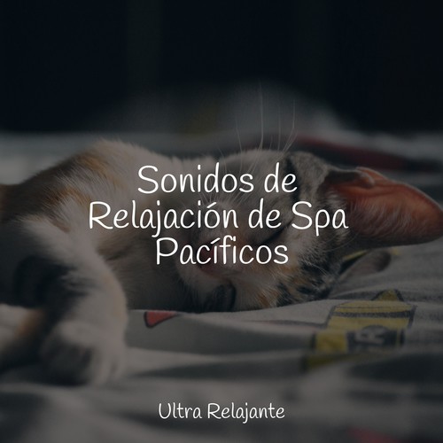 Sonidos de Relajación de Spa Pacíficos