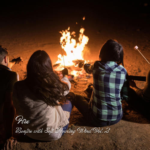 Fire: Bonfire with Soft Howling Wind Vol. 2