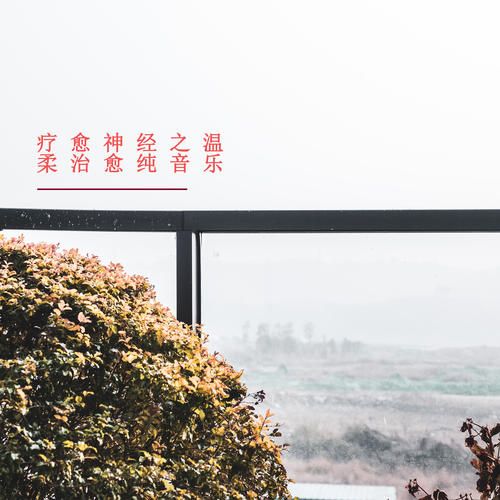 疗愈神经之温柔治愈纯音乐